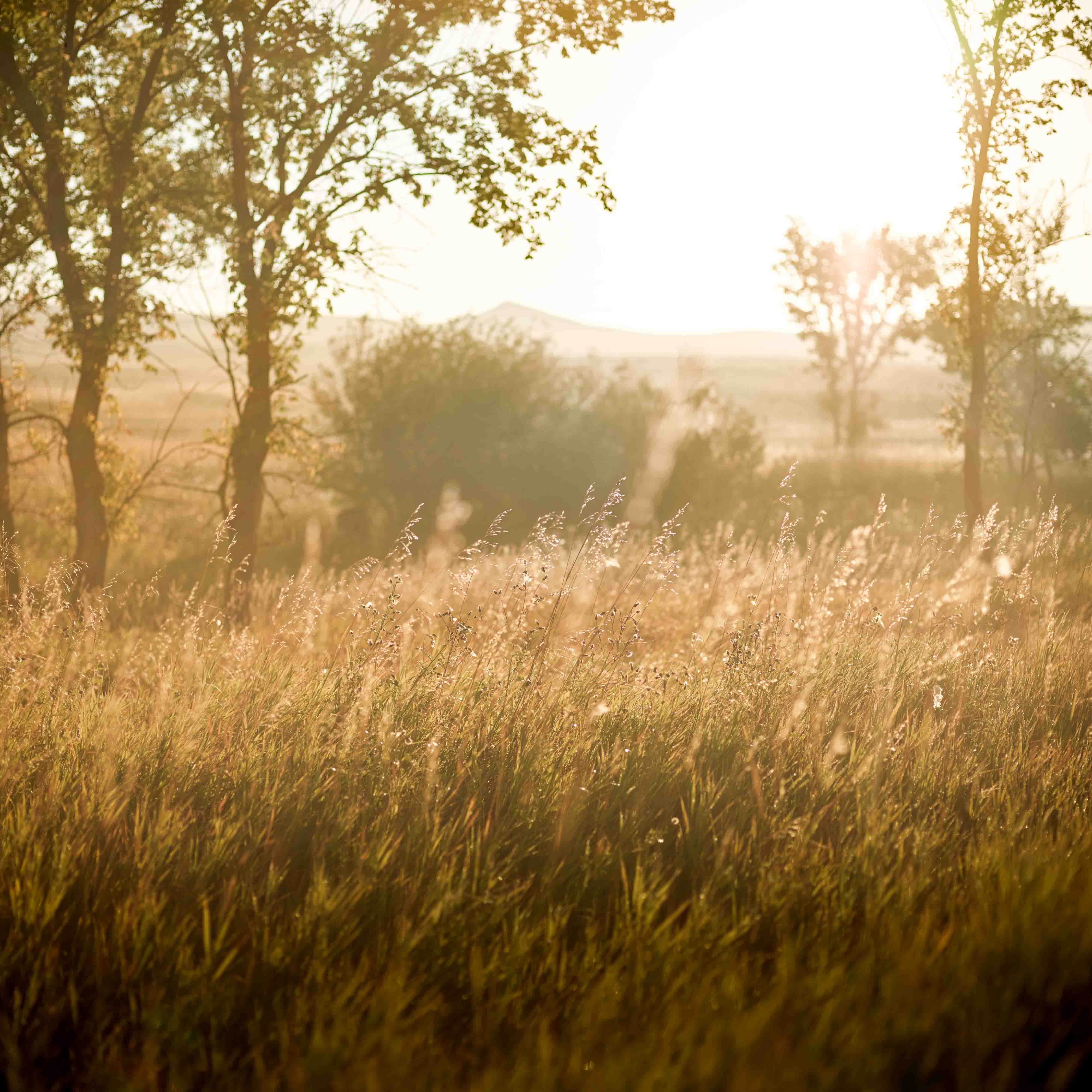 Announcement (2023): New Photography + New Newsletter