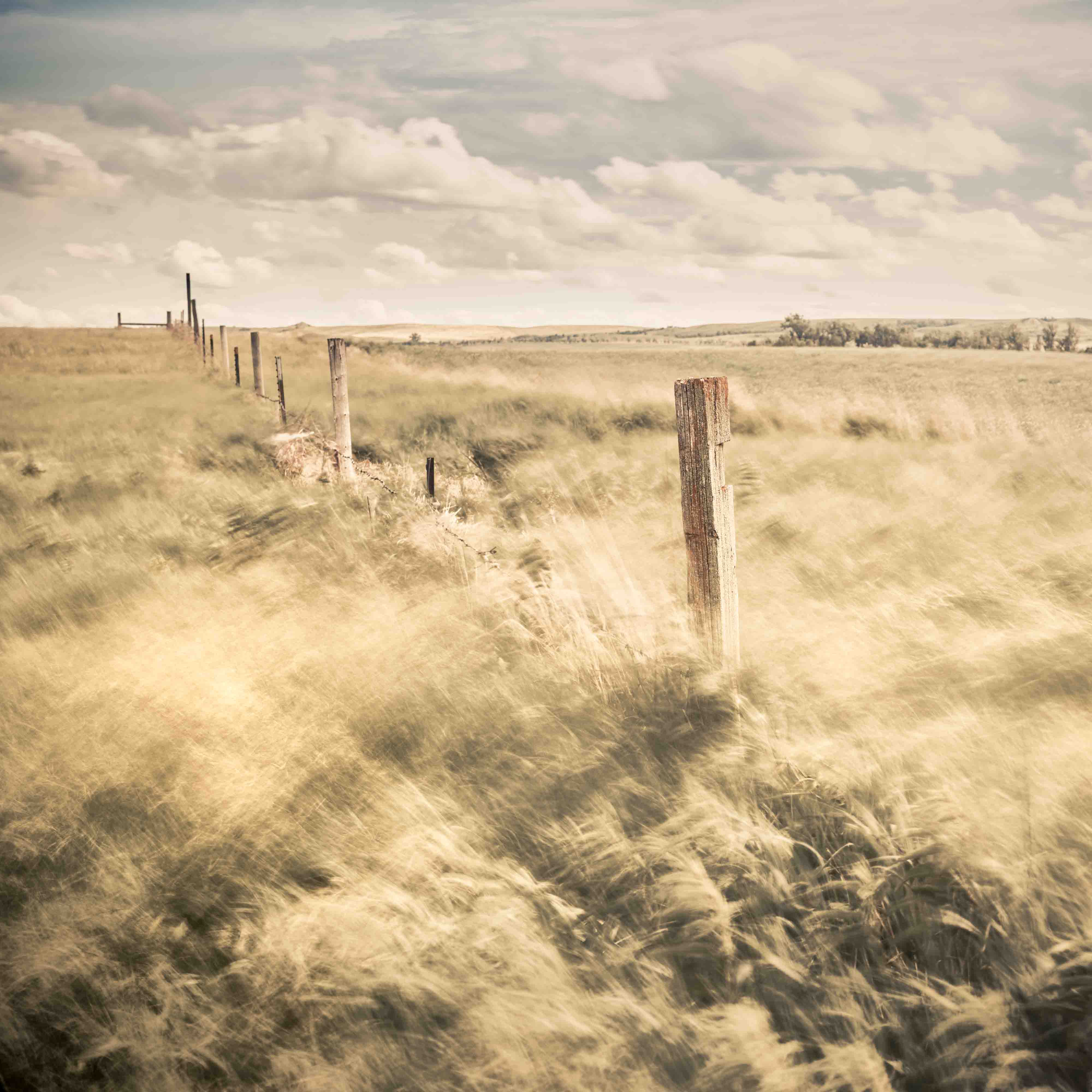 Being Fully Present With a Camera