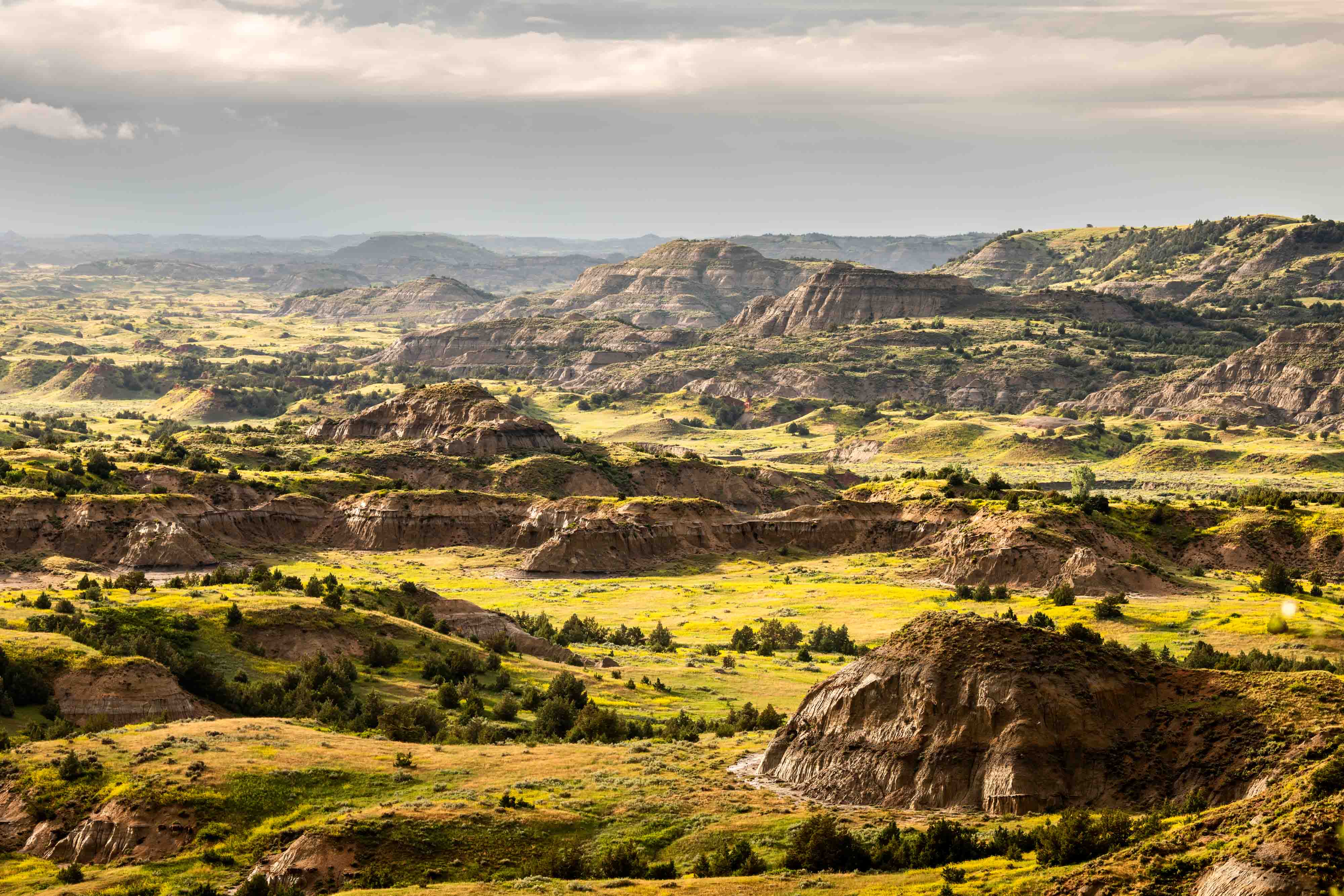 Chad-Ziemendorf-North-Dakota-Painted-Canyon-Home-Thumb.jpg