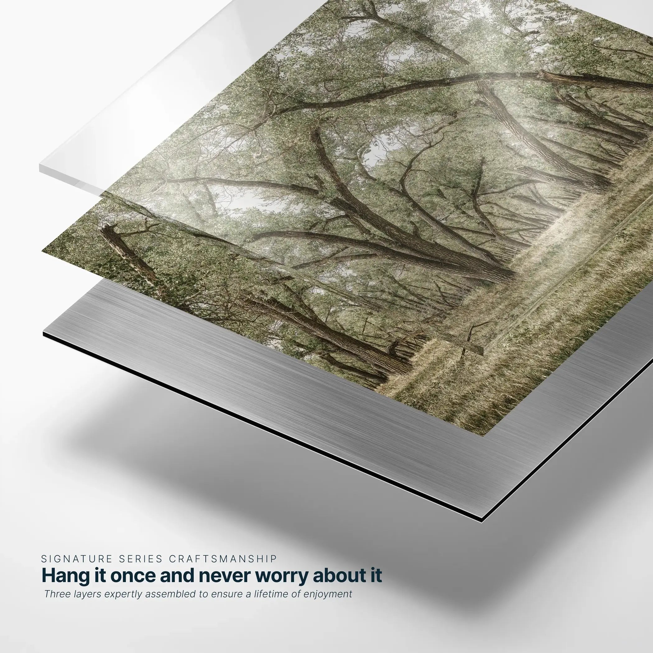 Rooted Grove