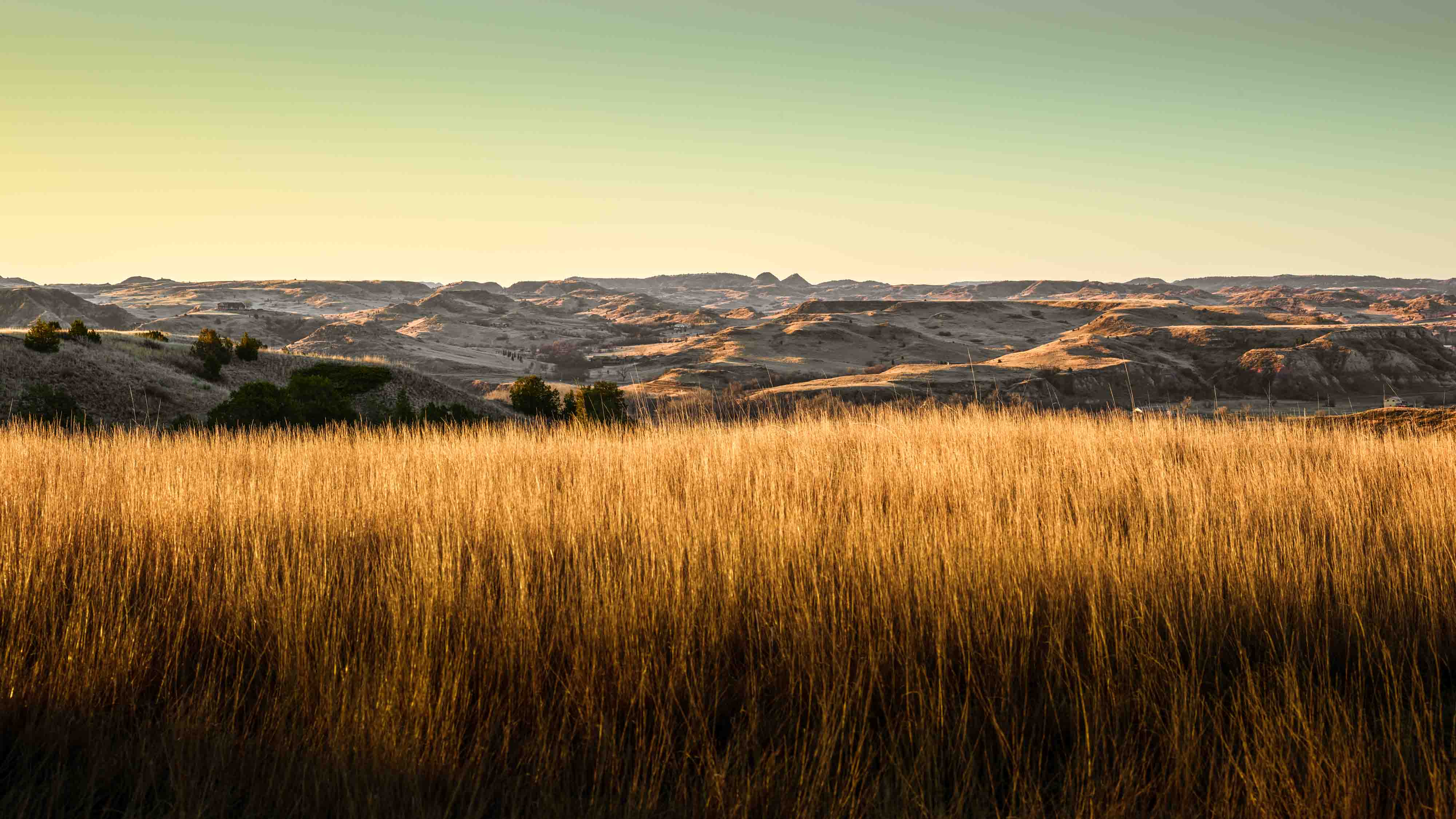 TRPL-Site-2020-Prairie.JPG