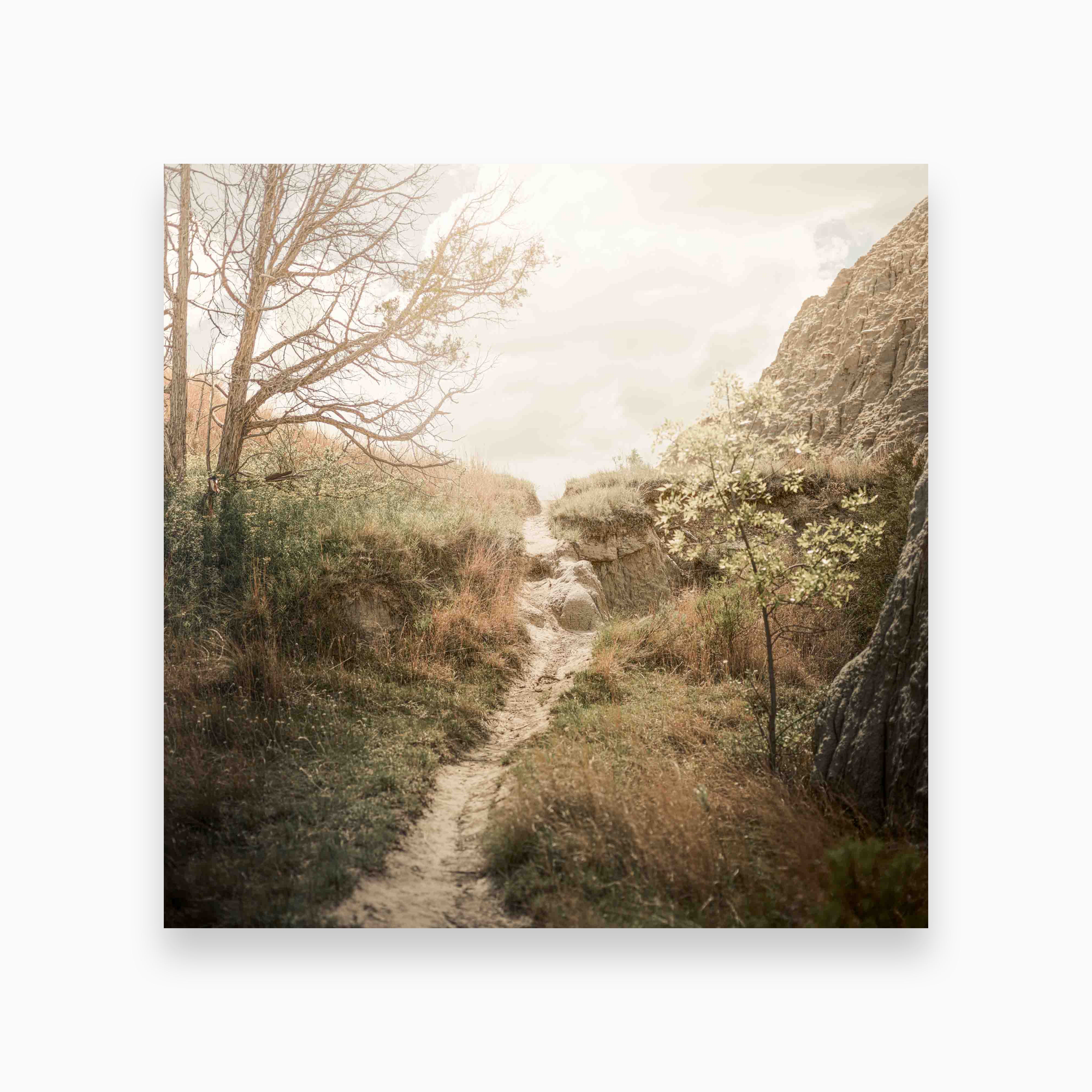 Hopeful Ascent