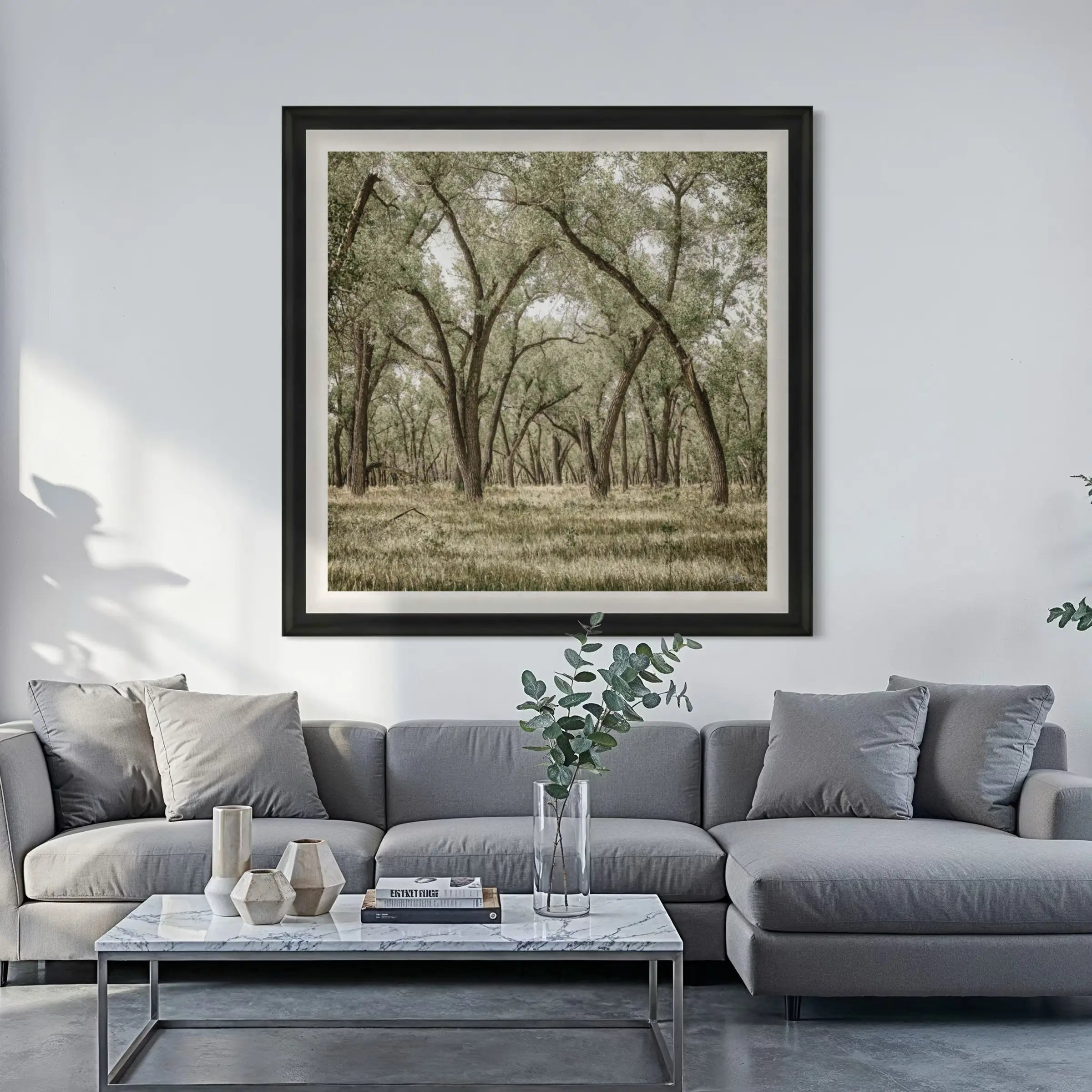 Rooted Grove