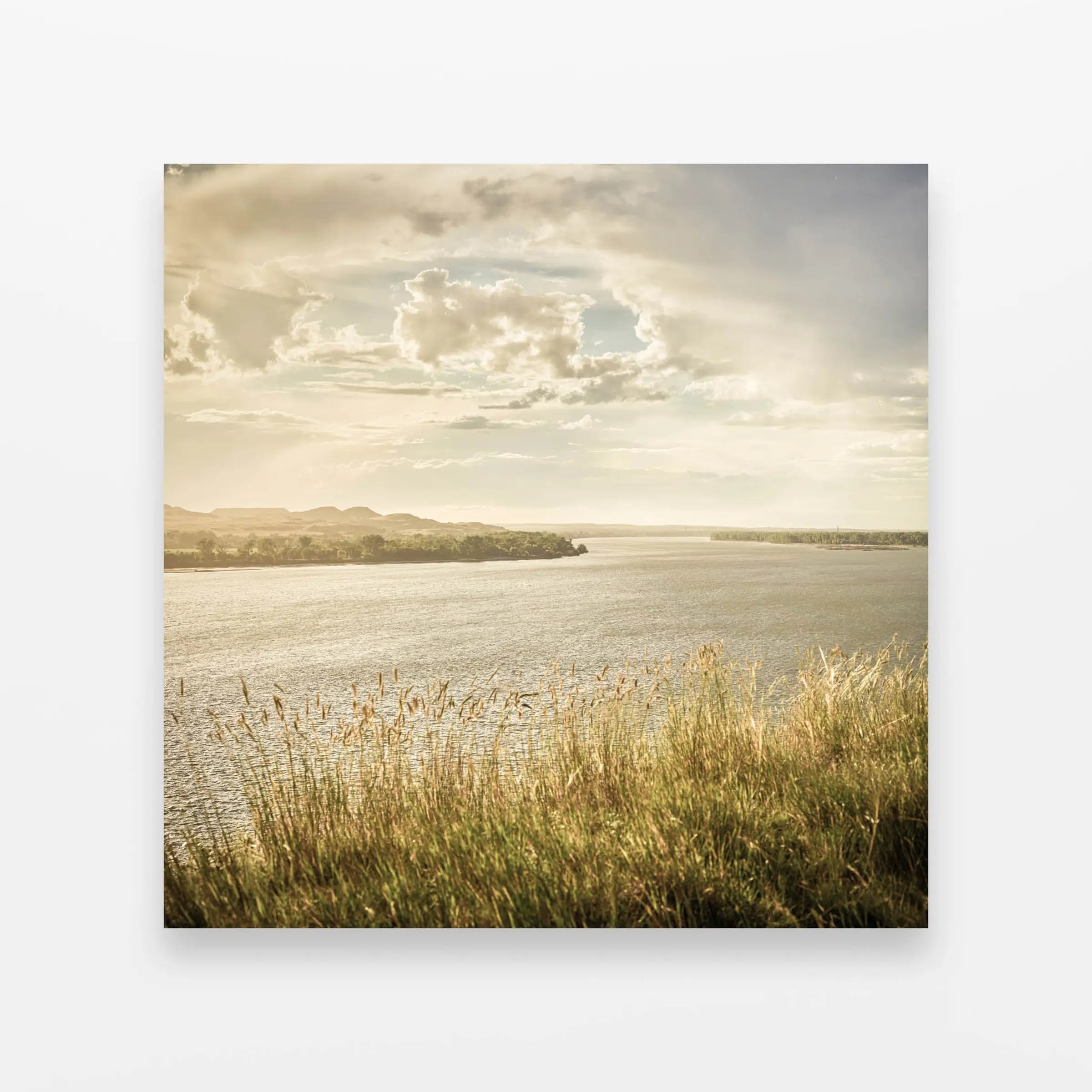 Summer Stillness