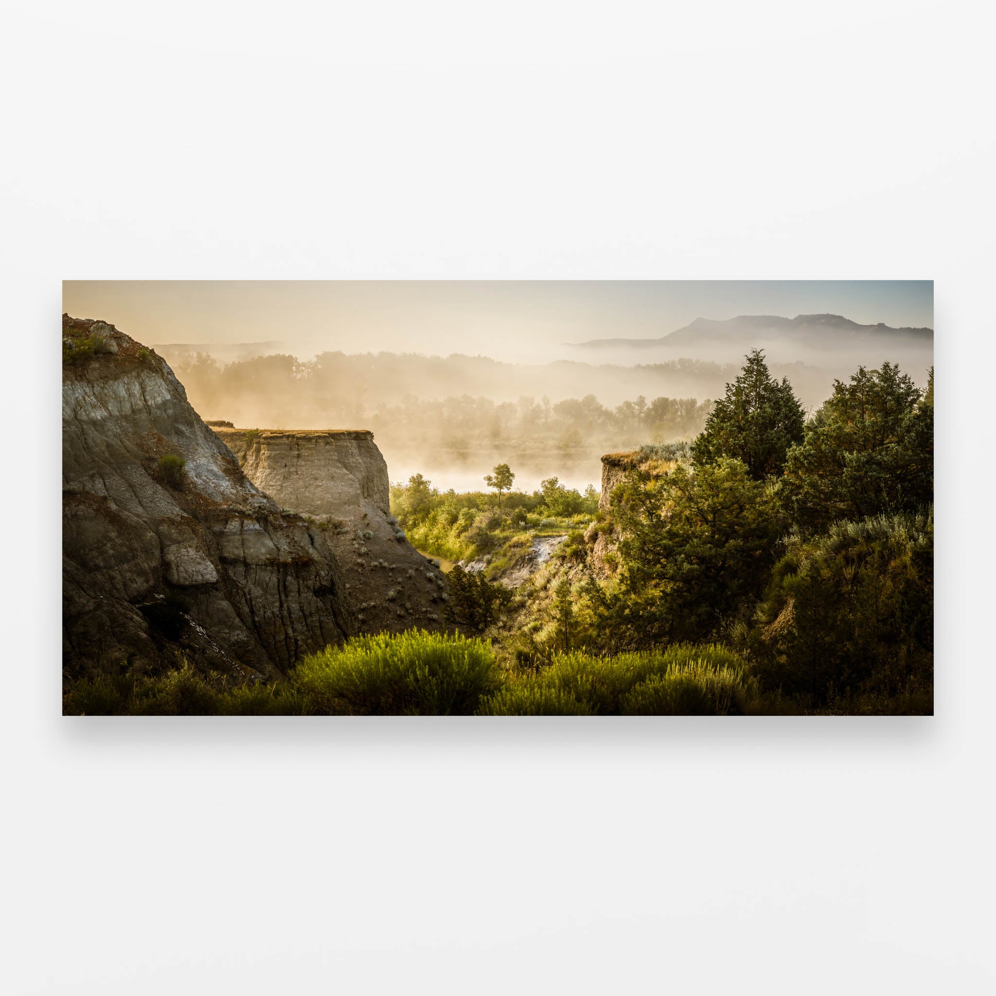 Valley of Renewal