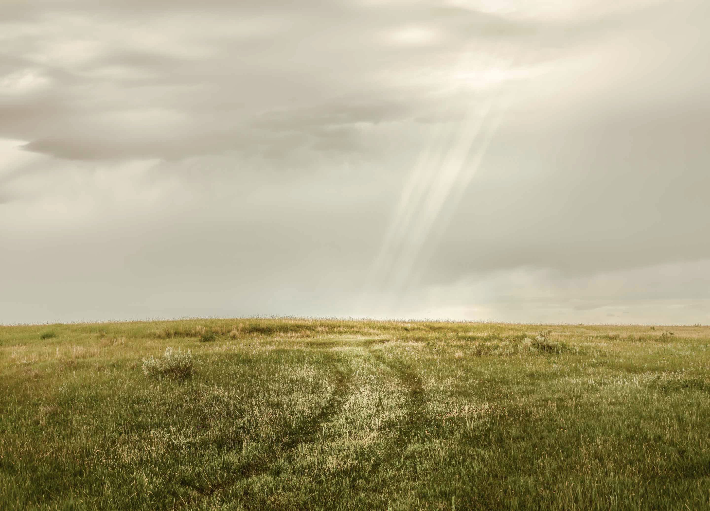 Finding My Lane: Understanding Photography's Three Distinct Paths