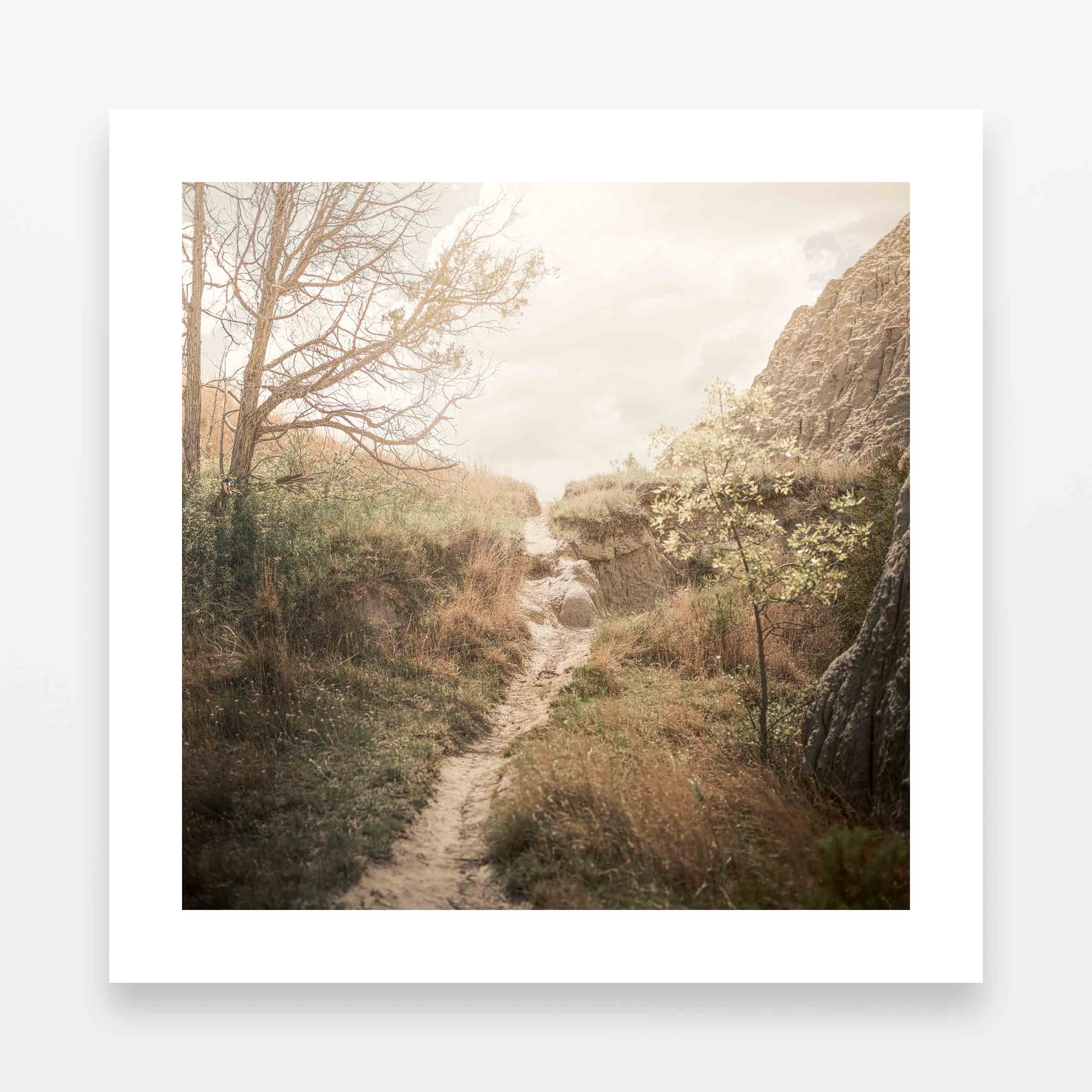 PERSPECTIVE (Hopeful Ascent)