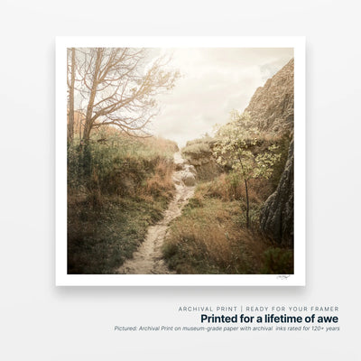 Hopeful Ascent
