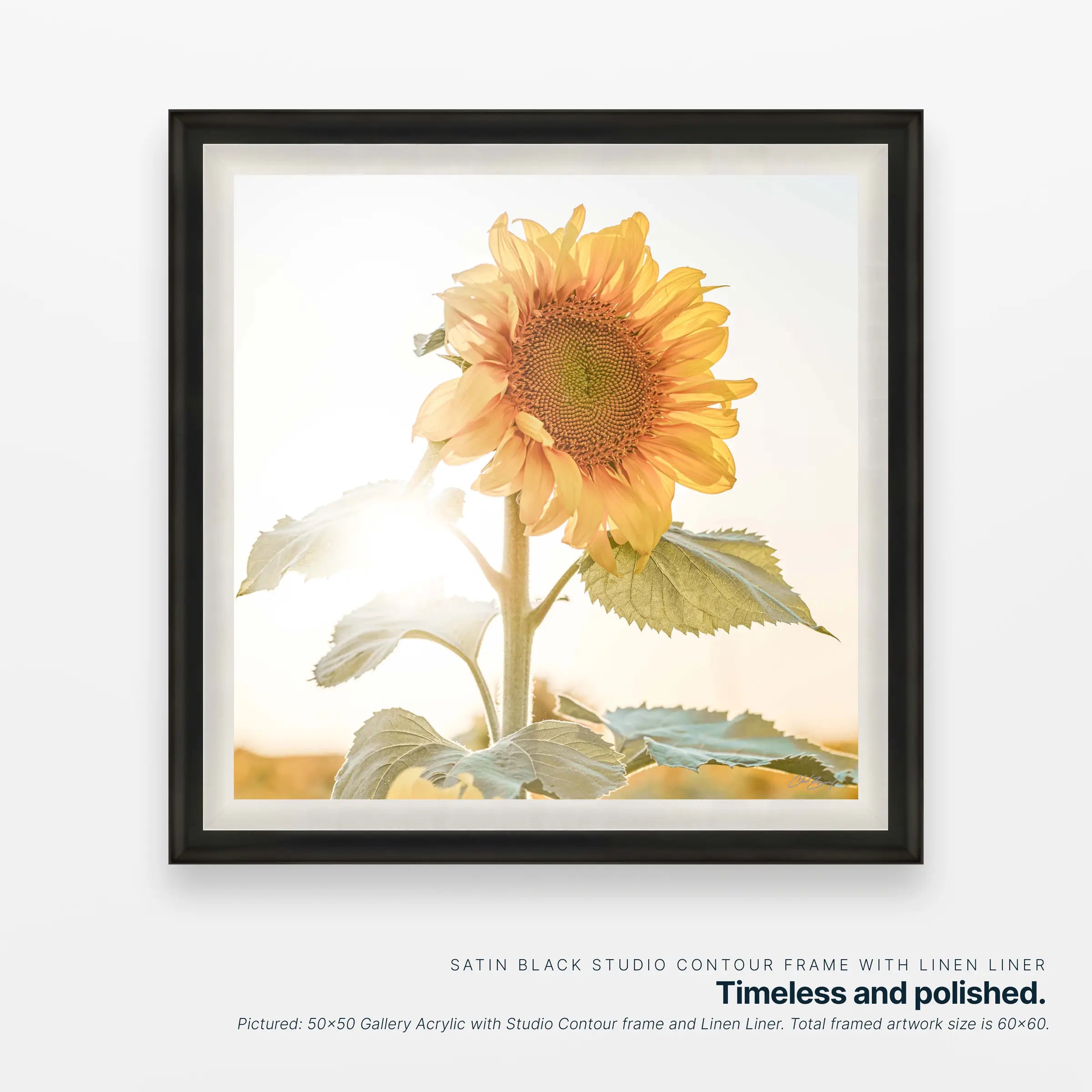 Portrait of Warmth