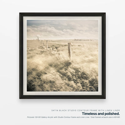 Prairie Tide