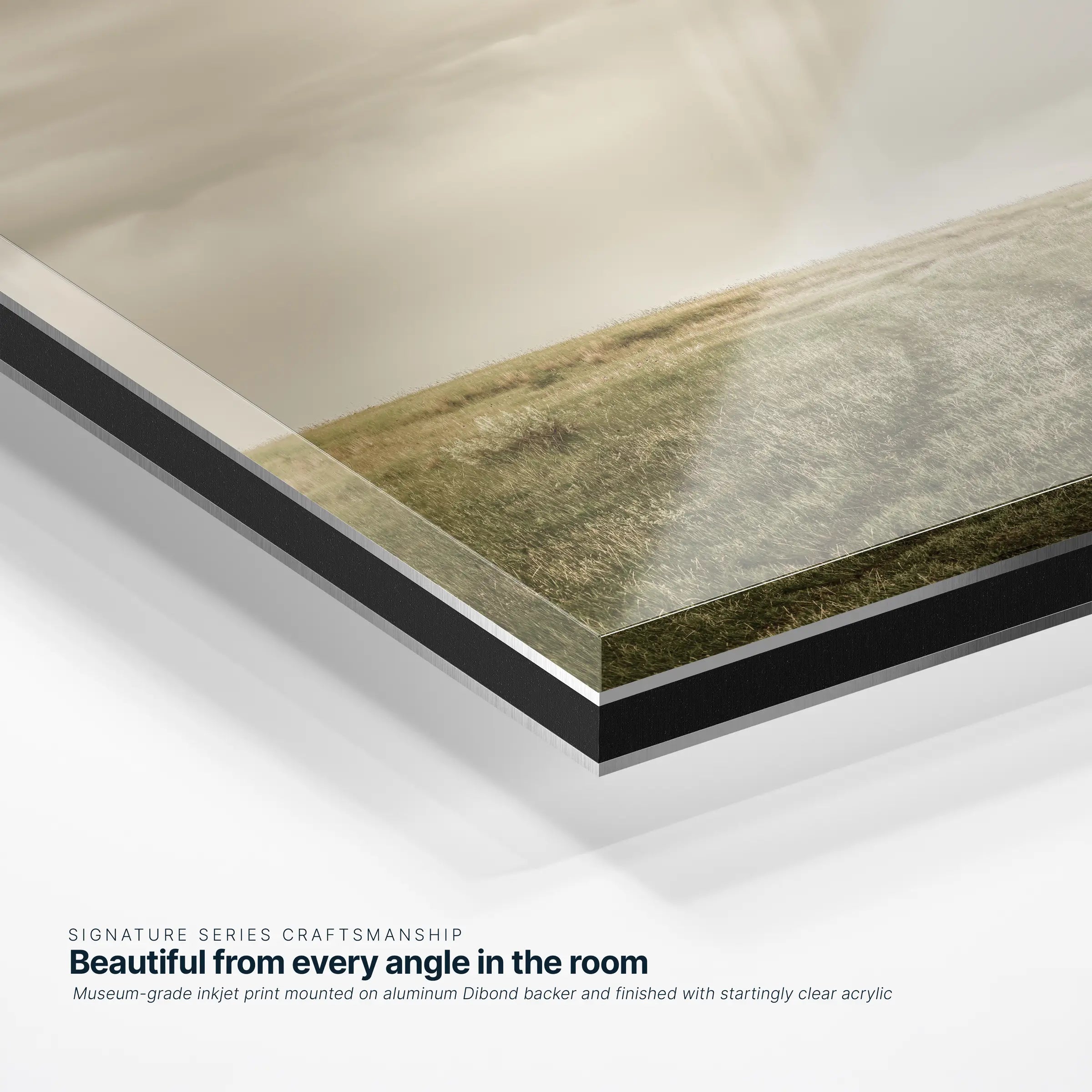 Road Revealed