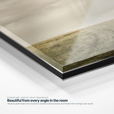 Road Revealed