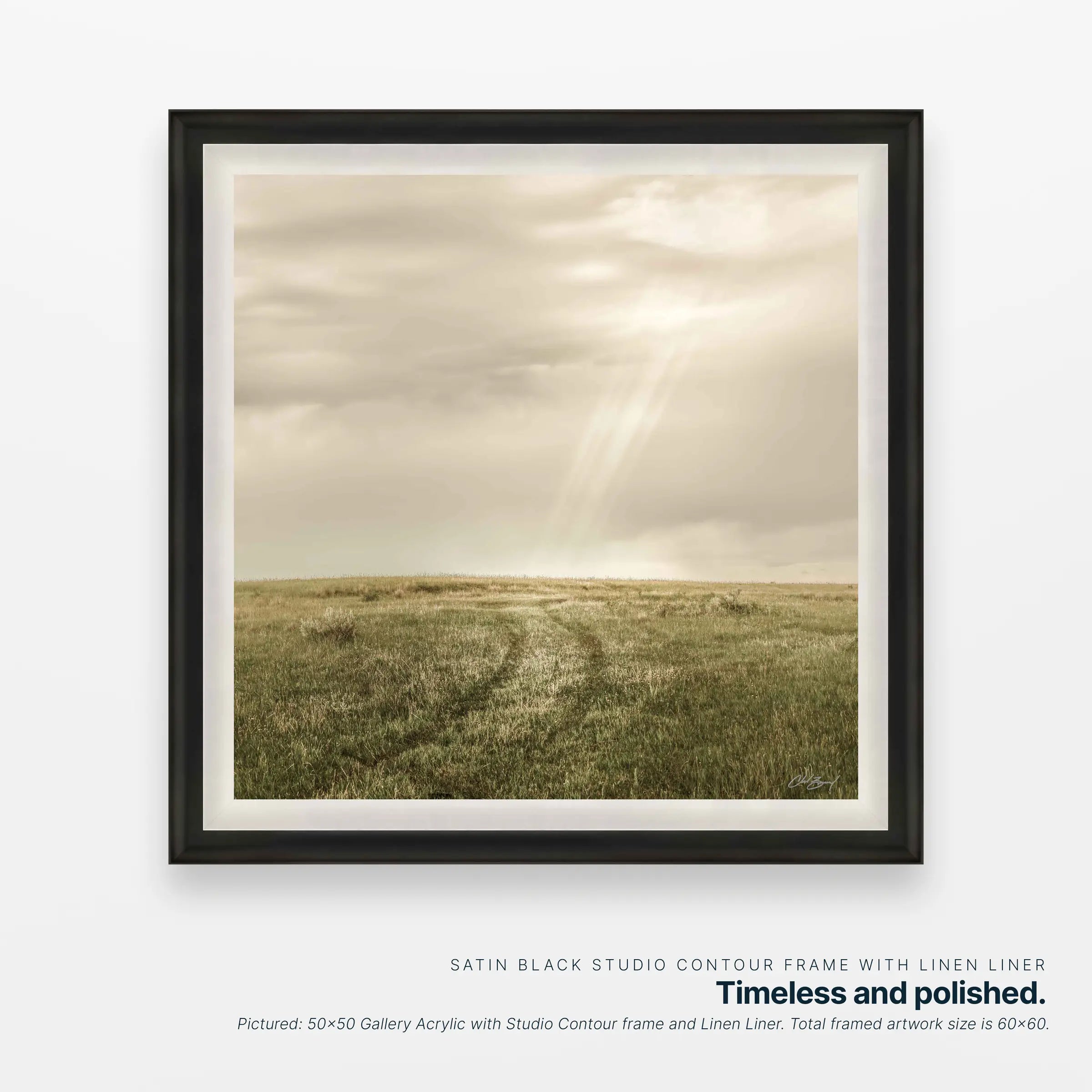 Road Revealed