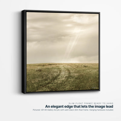 Road Revealed