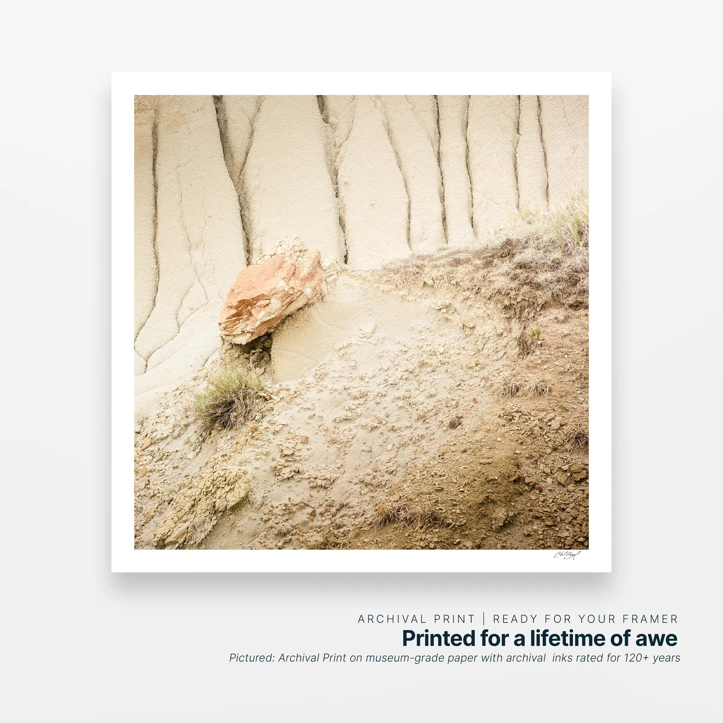 Settled Presence