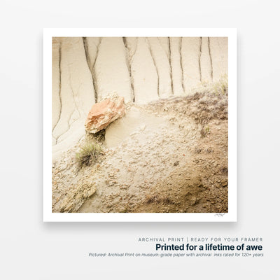 Settled Presence