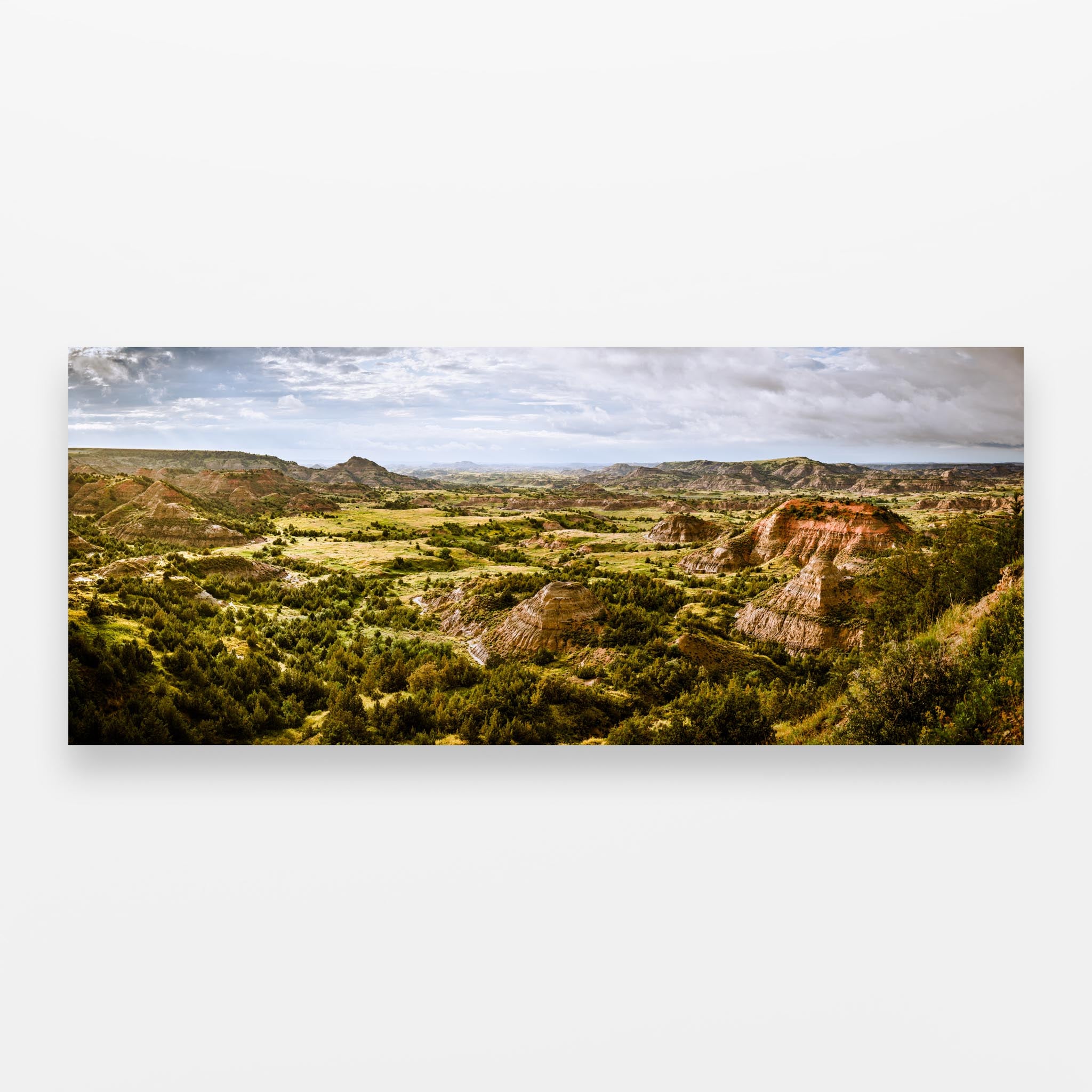 Painted Clearing