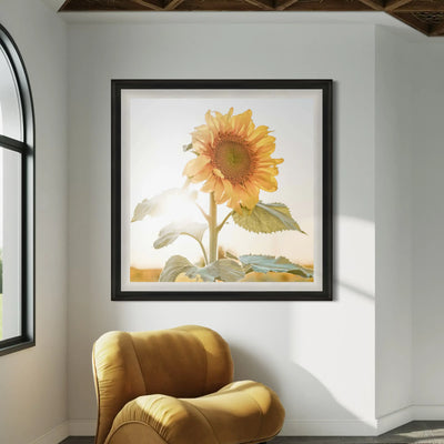 Portrait of Warmth
