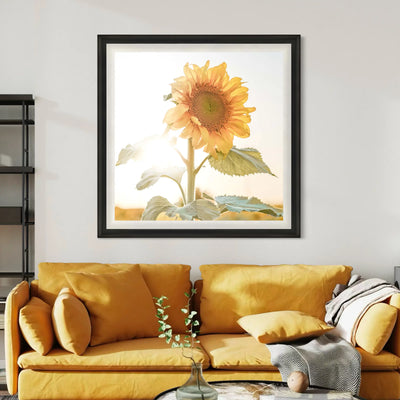 Portrait of Warmth
