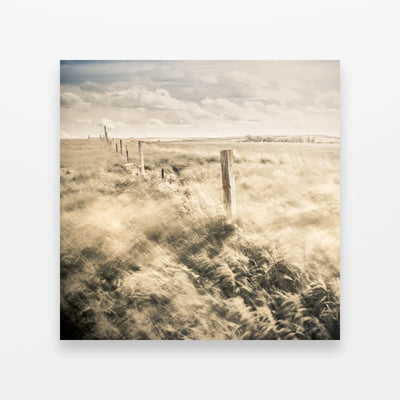 Prairie Tide