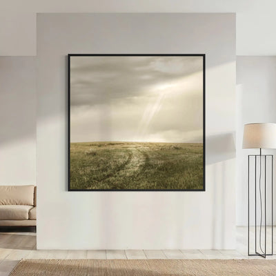 Road Revealed