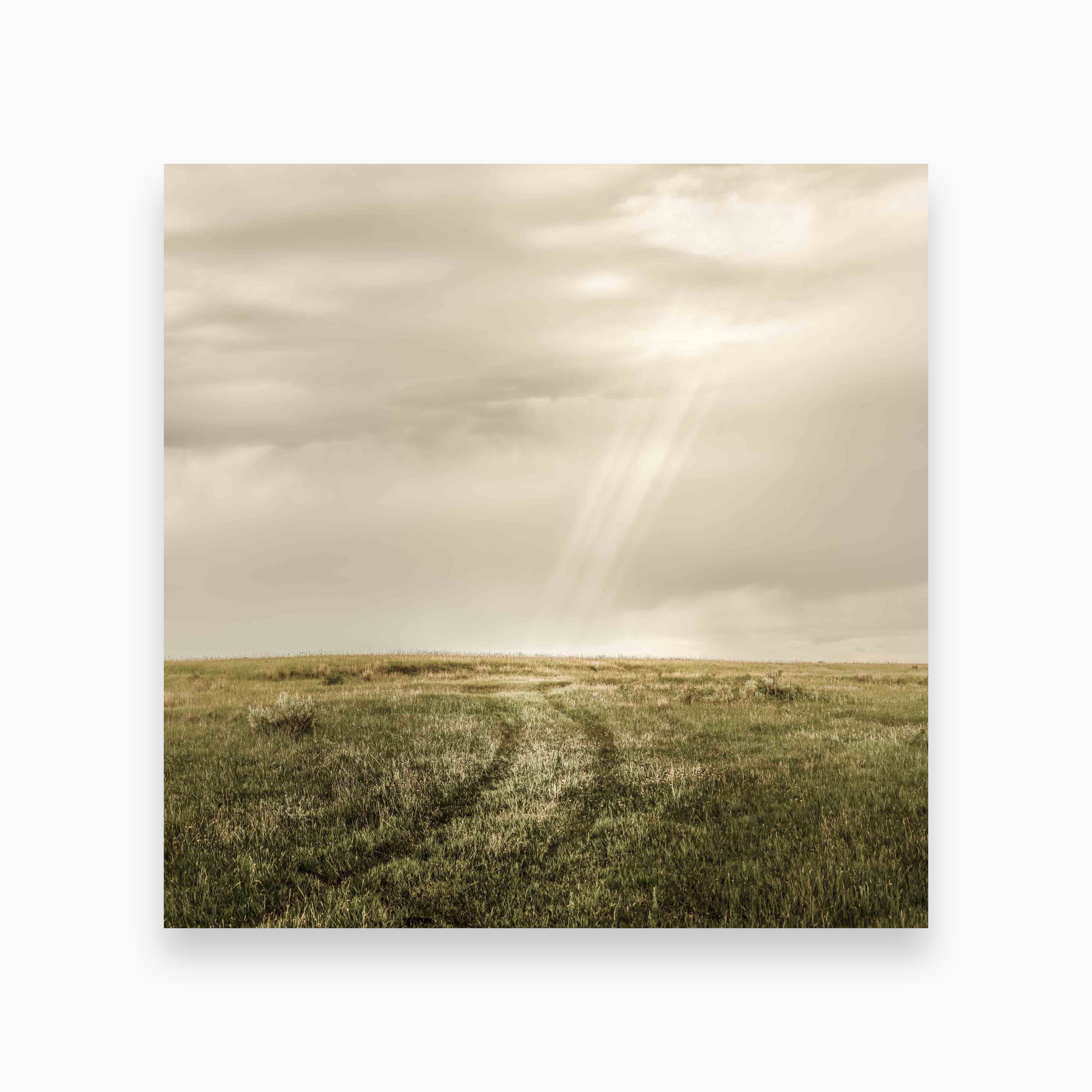 Road Revealed