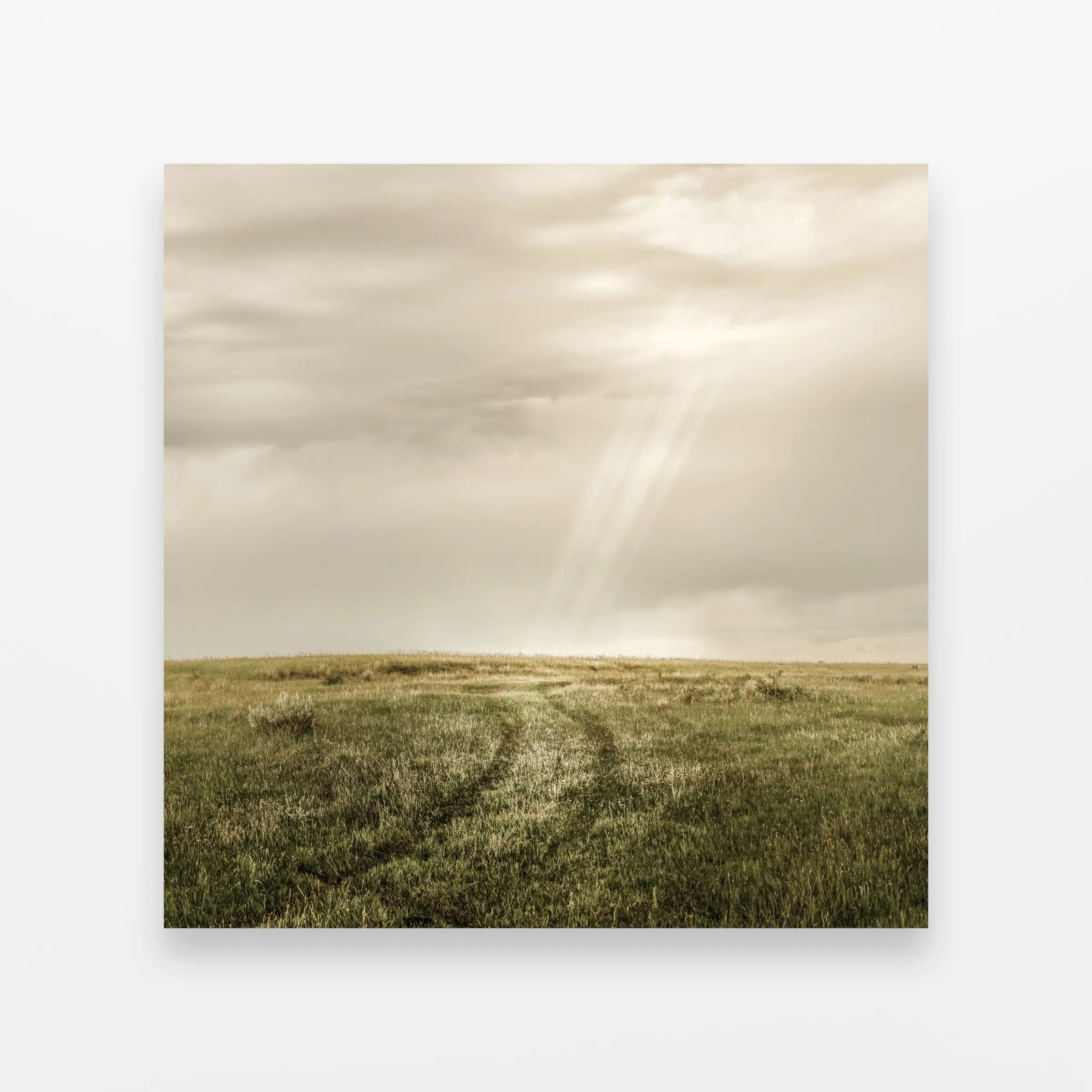 Road Revealed