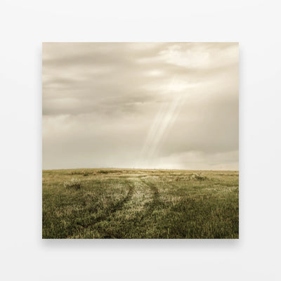 Road Revealed