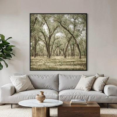 Rooted Grove
