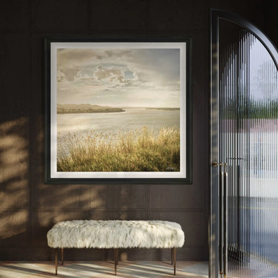 Summer Stillness